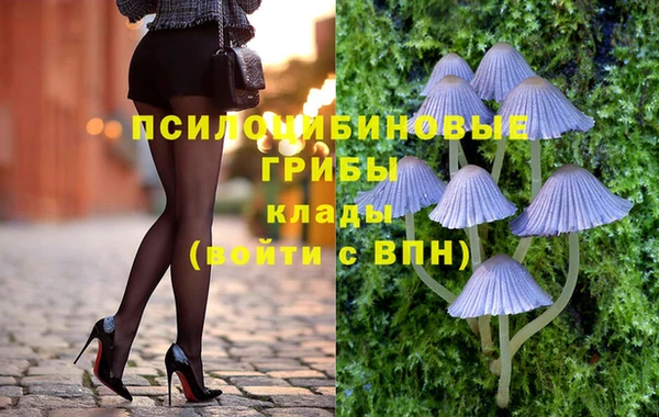 МДПВ Осинники