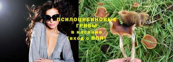 тгк Нижневартовск