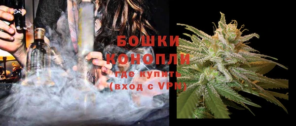 МДПВ Осинники