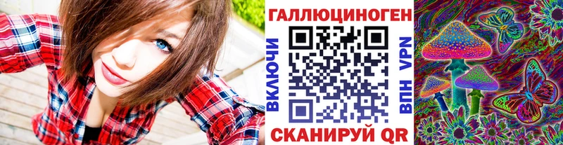 цена наркотик  Северобайкальск  Псилоцибиновые грибы Cubensis 