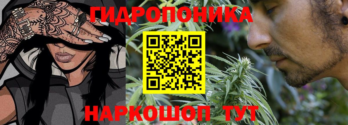 Конопля SATIVA & INDICA  МАРИХУАНА OG Kush  Вход с VPN  Северобайкальск  Марихуана THC 21% 